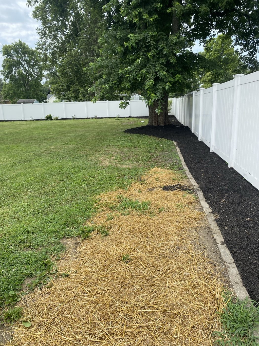 Before / Cleanup Needed project photo 4