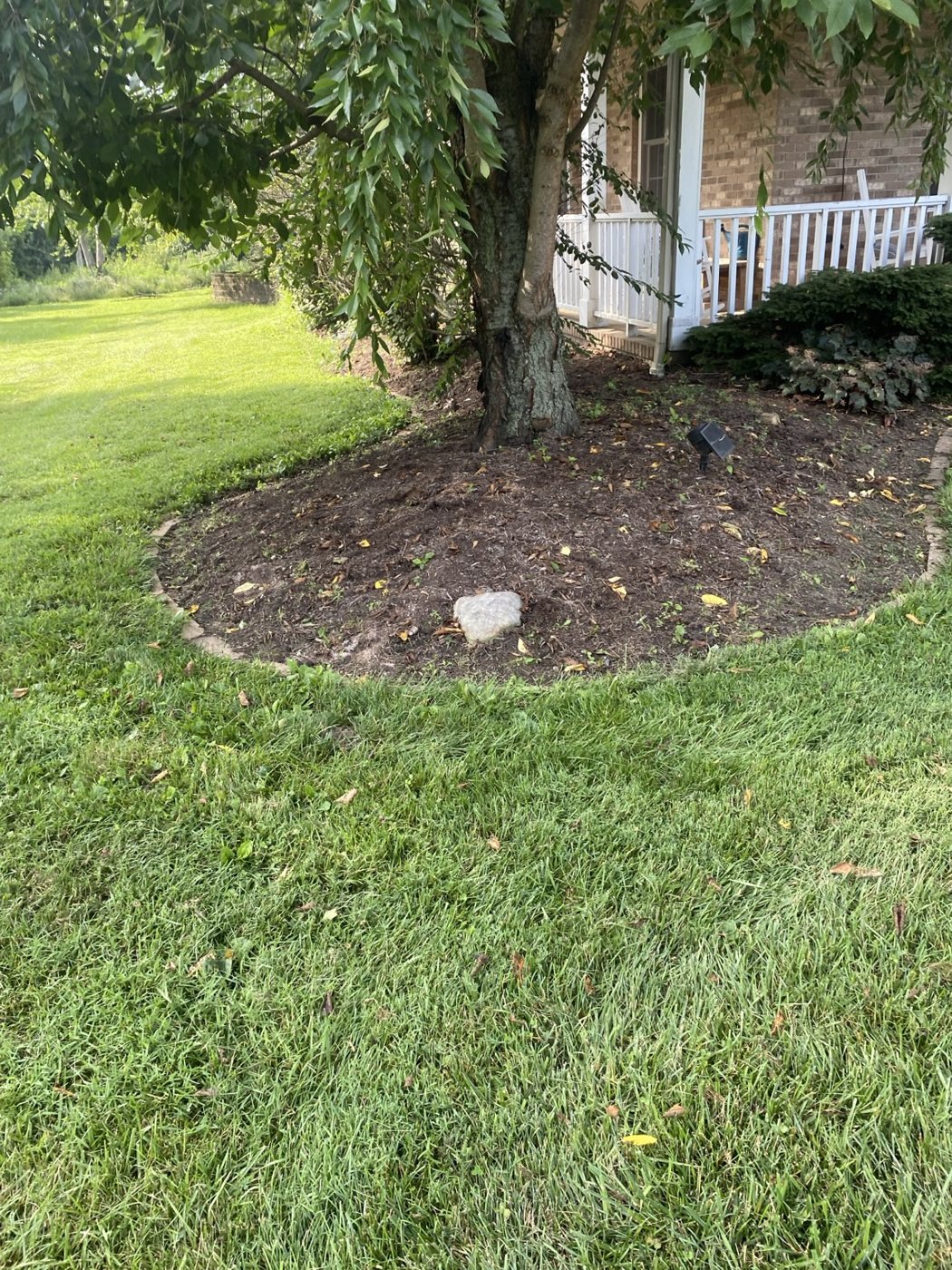 Before / Cleanup Needed project photo 5