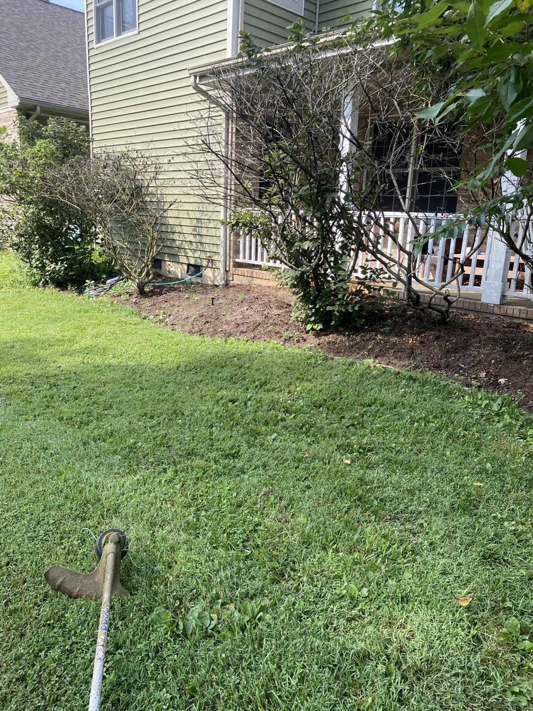 Before / Cleanup Needed project photo 10