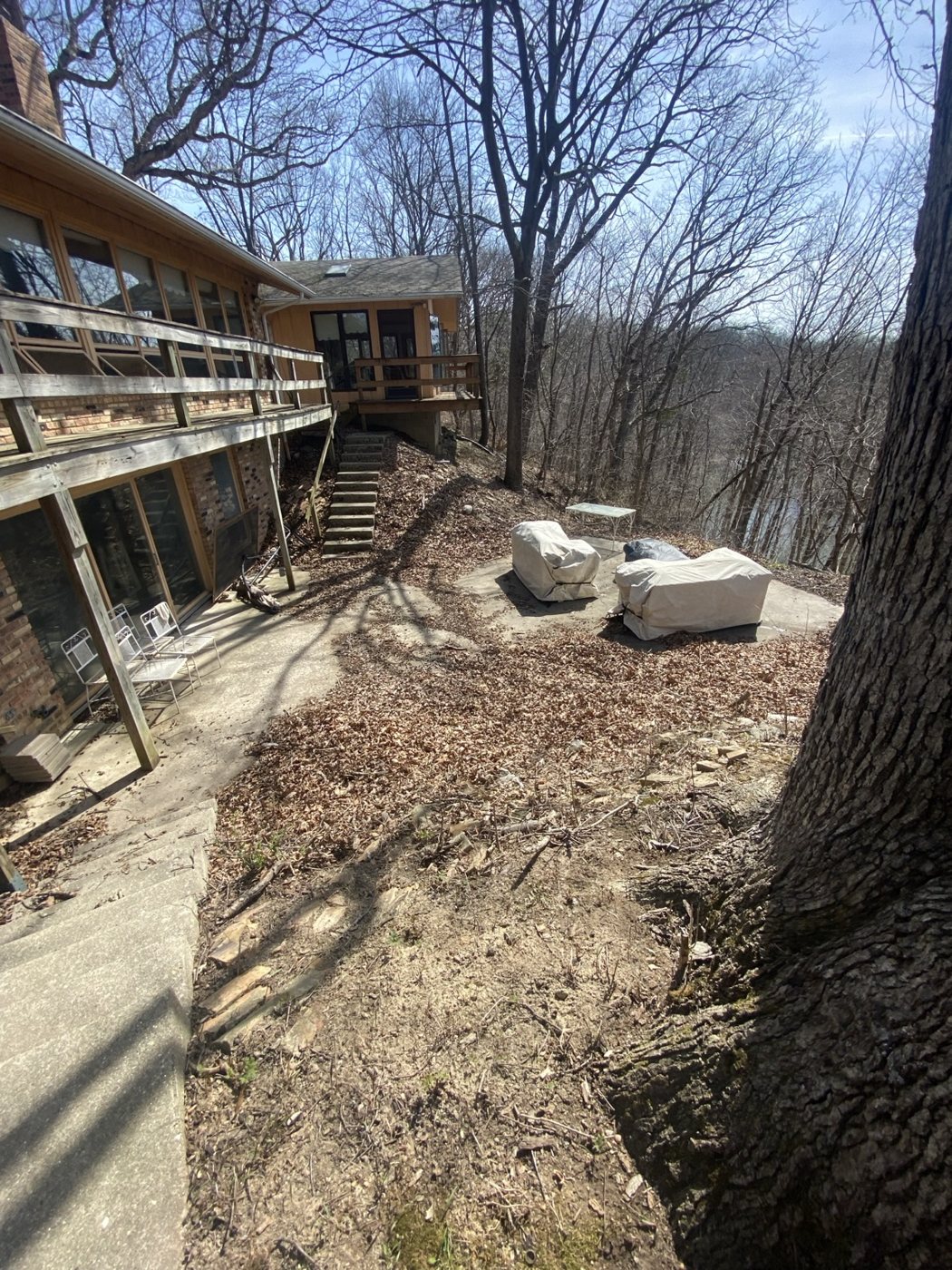 Before / Cleanup Needed project photo 16