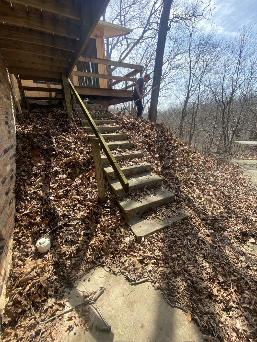 Before / Cleanup Needed project photo 17