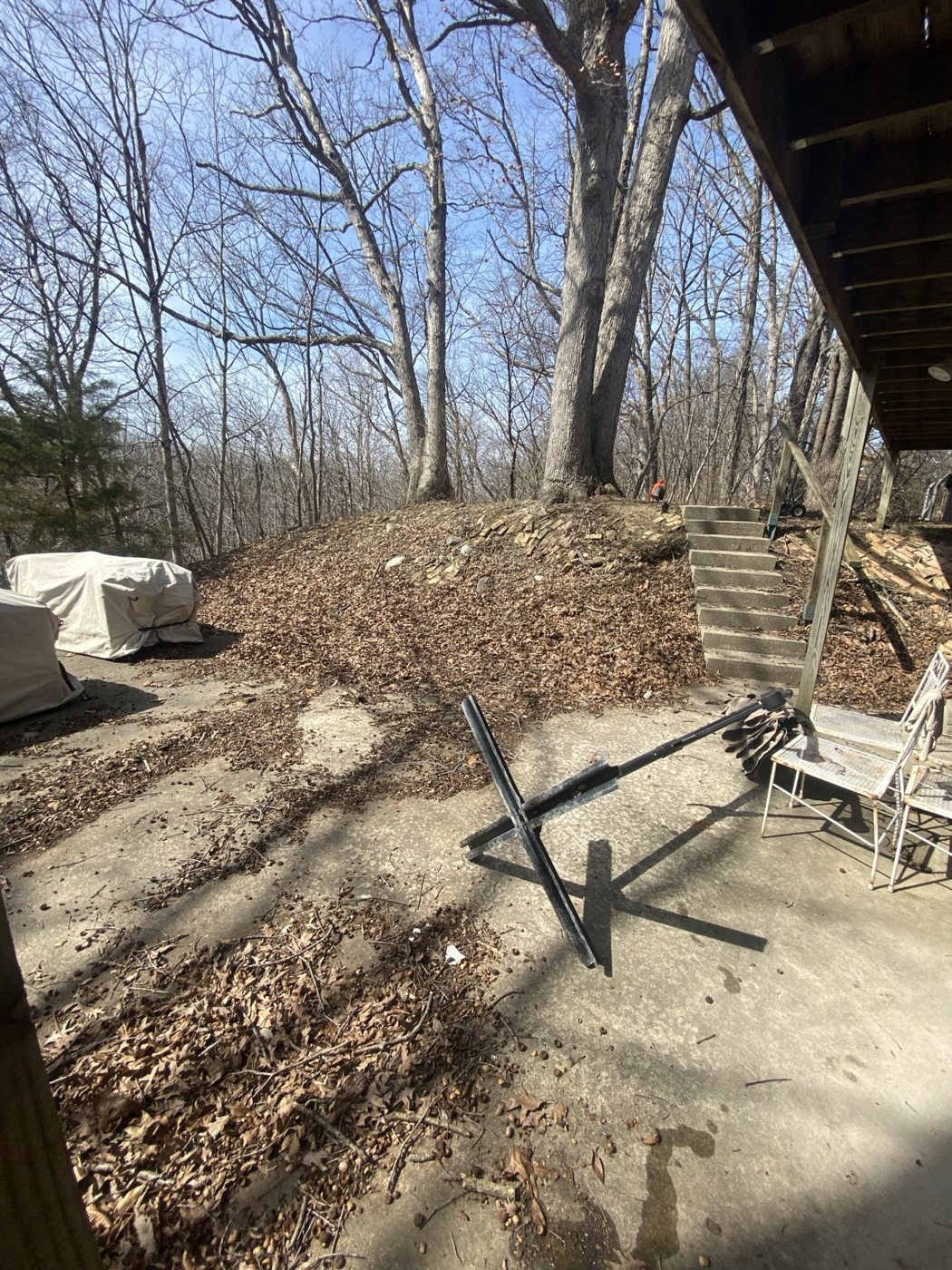 Before / Cleanup Needed project photo 18