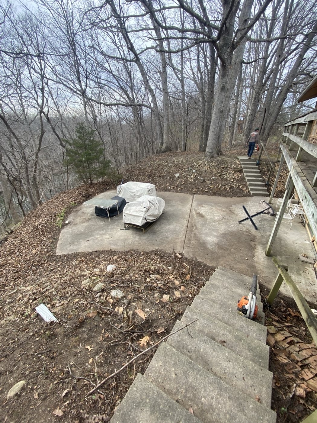 Before / Cleanup Needed project photo 19