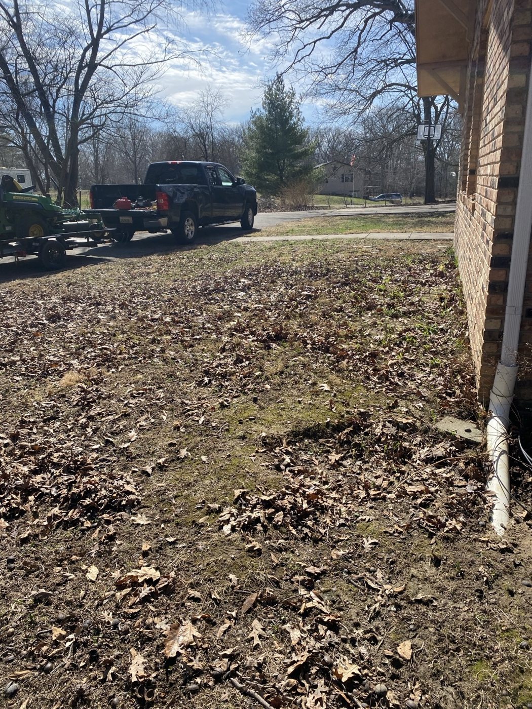 Before / Cleanup Needed project photo 26