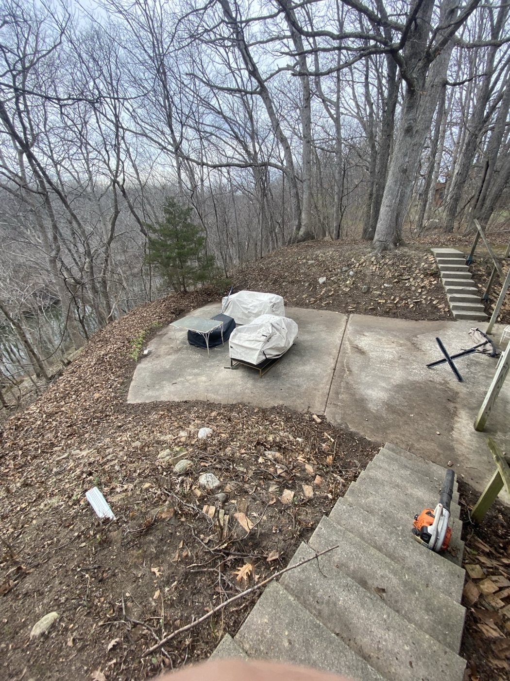 Before / Cleanup Needed project photo 27
