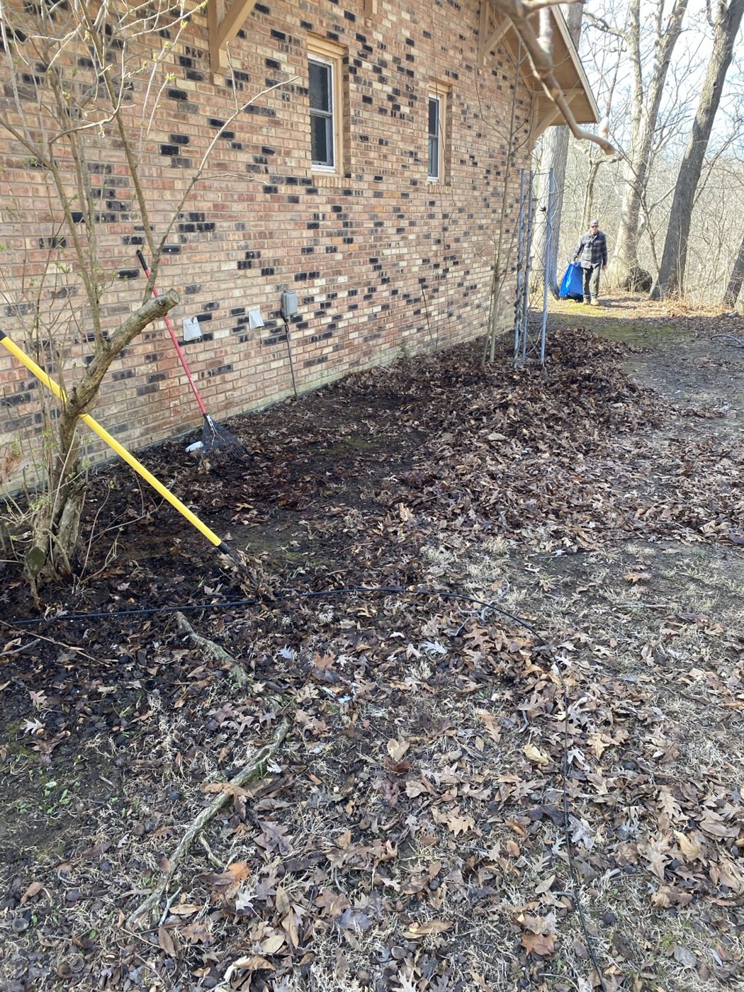 Before / Cleanup Needed project photo 28